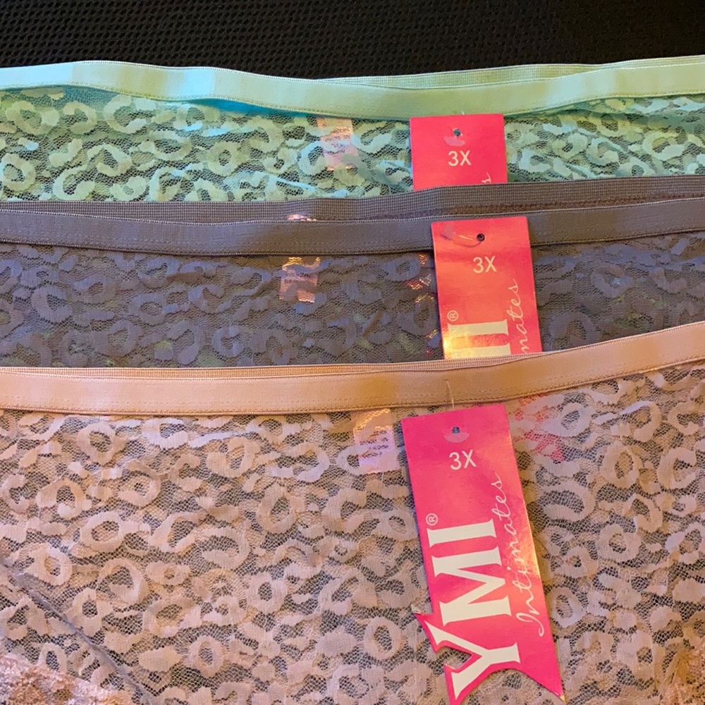 3 pair of lace panties